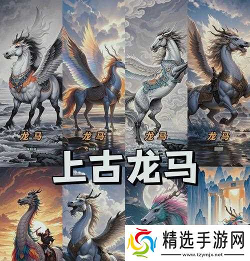 踏上龙马之路（从零开始进阶）