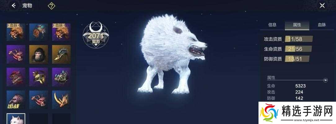 踏上龙马之路（从零开始进阶）