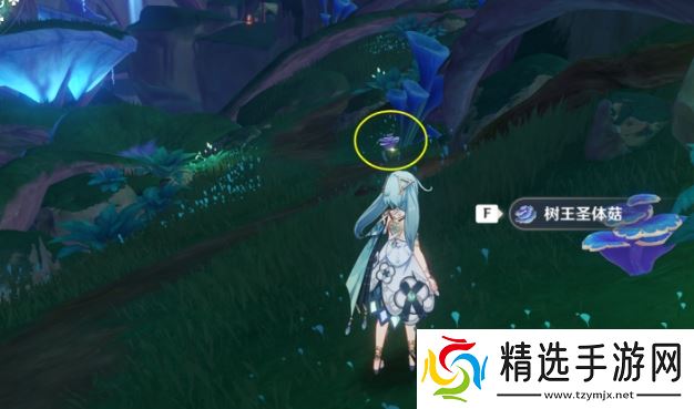 圣体菇保姆级采集路线:须弥全点位地毯式扫荡指南