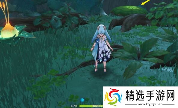 圣体菇保姆级采集路线:须弥全点位地毯式扫荡指南