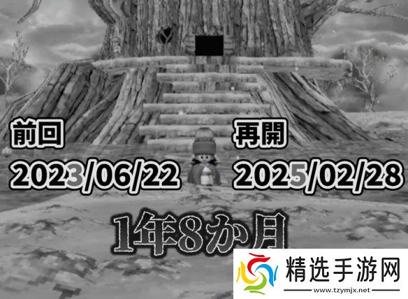 《勇者斗恶龙V》玩家耗时760小时将芙萝拉练至全满!