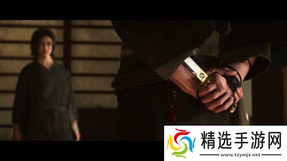 《刺客信条影》