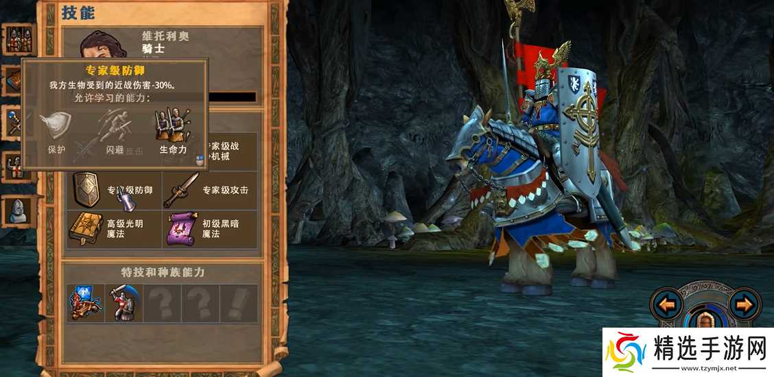 英雄无敌5维托里奥怎么加点