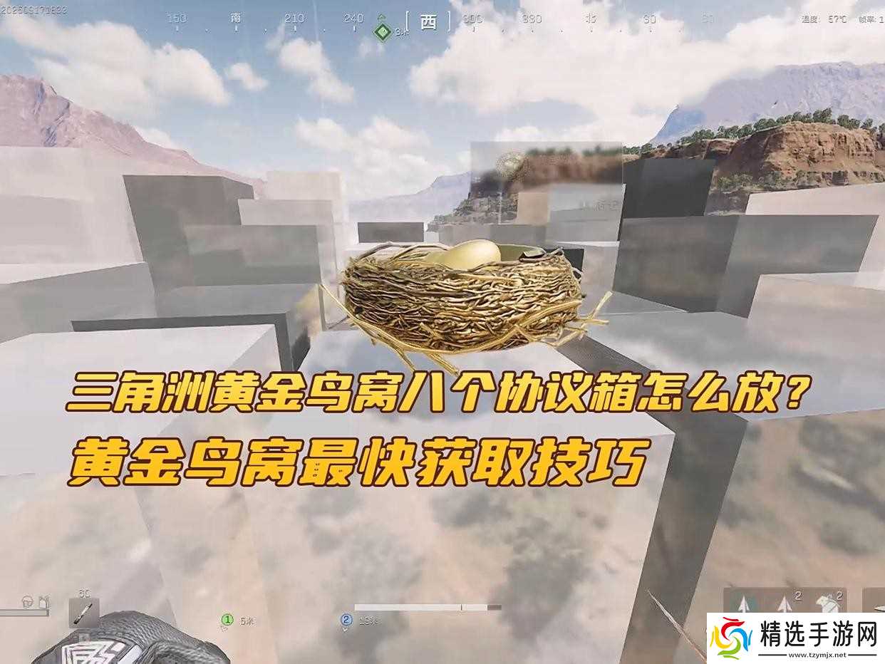 三角洲行动黄金鸟窝最快获取攻略