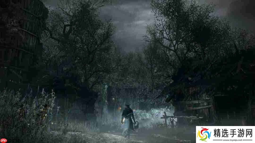 即便新的State of Play在即 但《血源》PC版仍无计划