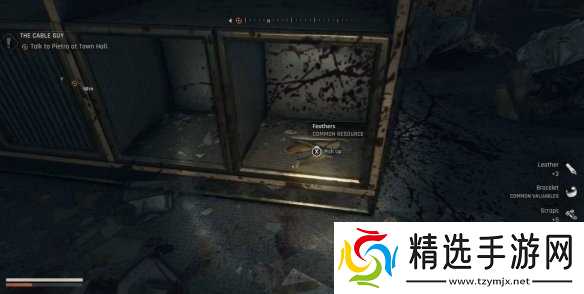 《消逝的光芒困兽》羽毛获得方式