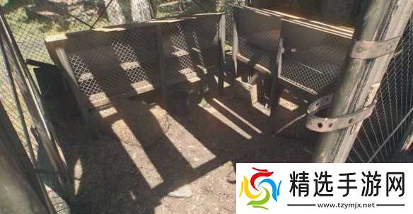 《消逝的光芒困兽》羽毛获得方式