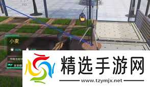 七日世界如何获取小麦种子