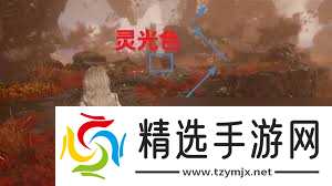 光与影33号远征队眼眸岛怎么探索