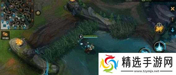 英雄联盟中刺客英雄应该怎么玩？有哪些技巧和注意事项？