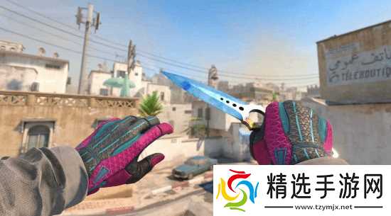 老外因CS2饰品更新“妻离子散”:妻子带孩子跑了