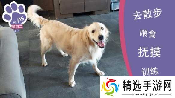 终于能云养狗了!"真狗"互动模拟游戏上线Steam页面