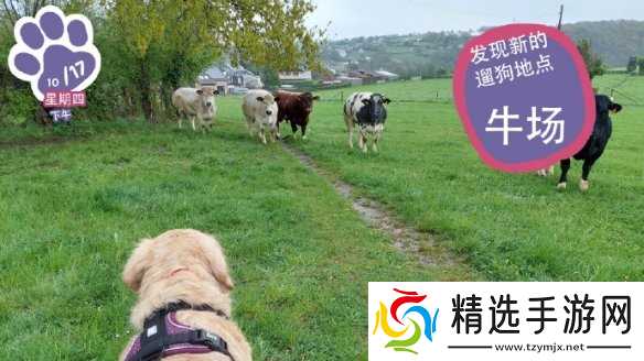 终于能云养狗了!"真狗"互动模拟游戏上线Steam页面