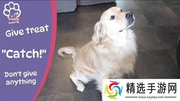 终于能云养狗了!"真狗"互动模拟游戏上线Steam页面