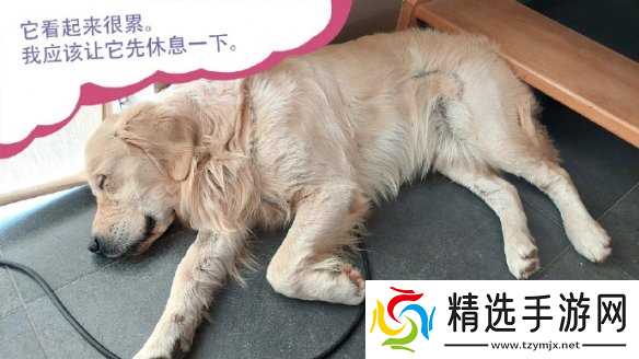 终于能云养狗了!"真狗"互动模拟游戏上线Steam页面