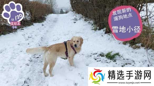 终于能云养狗了!"真狗"互动模拟游戏上线Steam页面