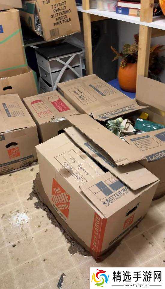 污水突袭致宝可梦卡牌收藏尽毁