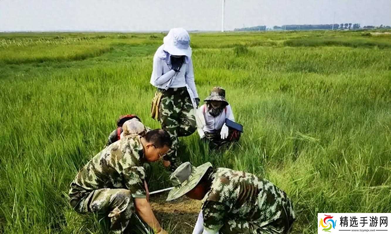 当地仅1人种植!专家下乡偶然发现,山西老汉为哄孩子种了几十年