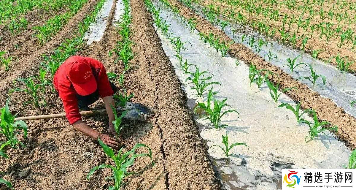 当地仅1人种植!专家下乡偶然发现,山西老汉为哄孩子种了几十年