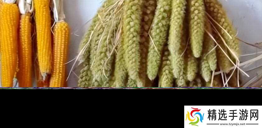 当地仅1人种植!专家下乡偶然发现,山西老汉为哄孩子种了几十年