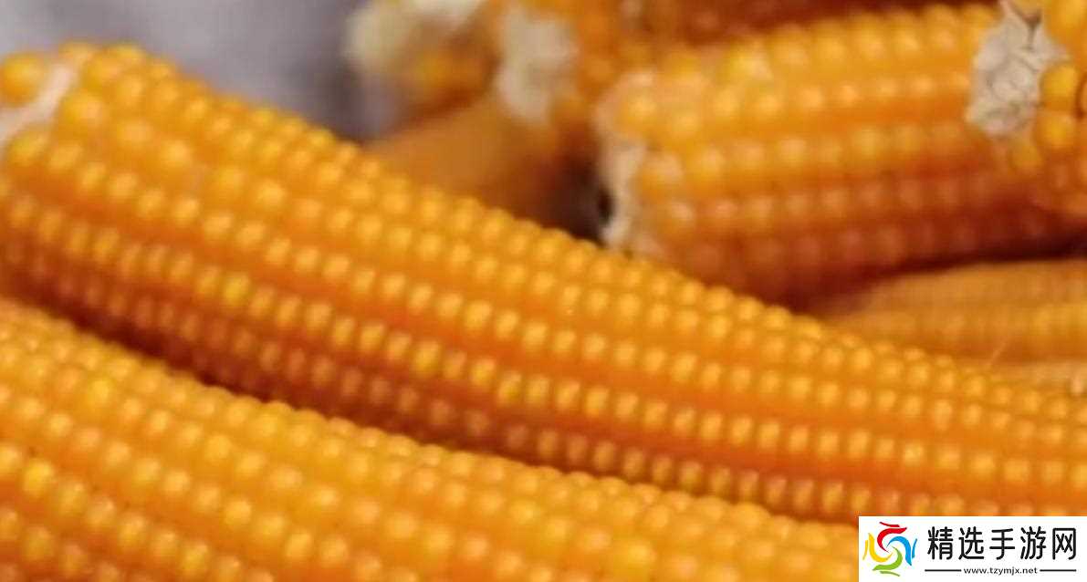 当地仅1人种植!专家下乡偶然发现,山西老汉为哄孩子种了几十年