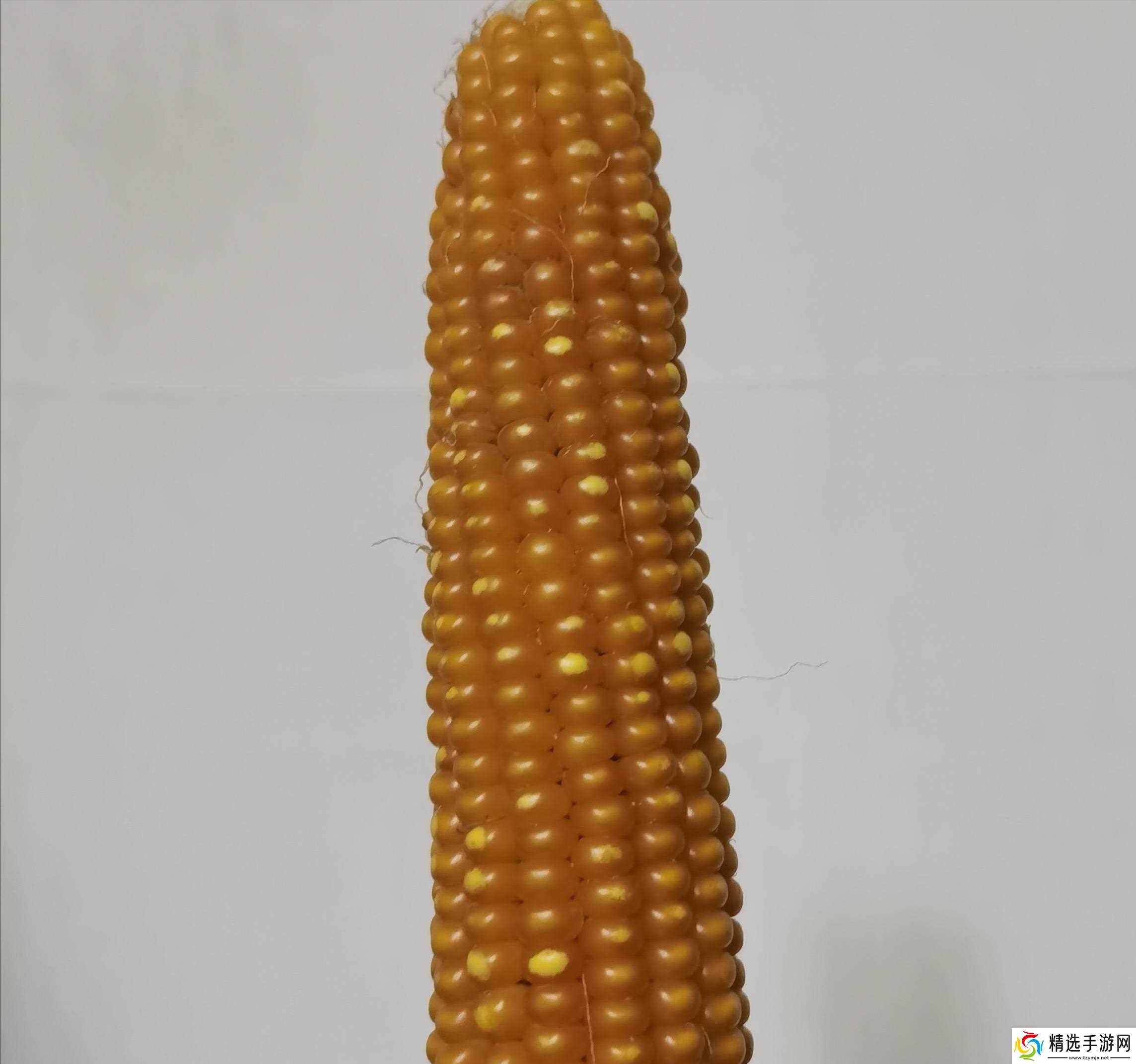 当地仅1人种植!专家下乡偶然发现,山西老汉为哄孩子种了几十年