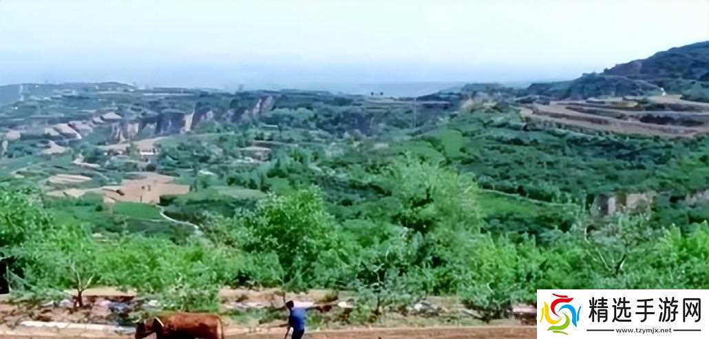 当地仅1人种植!专家下乡偶然发现,山西老汉为哄孩子种了几十年