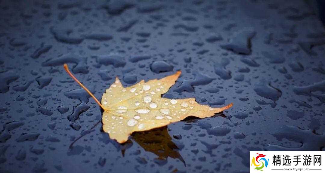 湖北即将大降温！荆门接下来的天气…