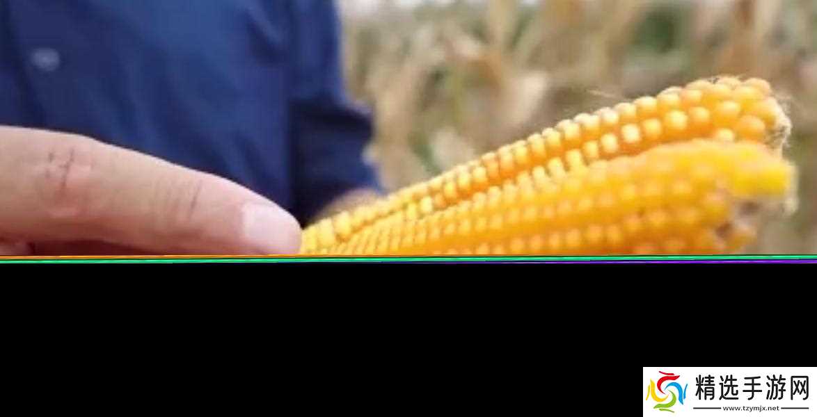 当地仅1人种植!专家下乡偶然发现,山西老汉为哄孩子种了几十年