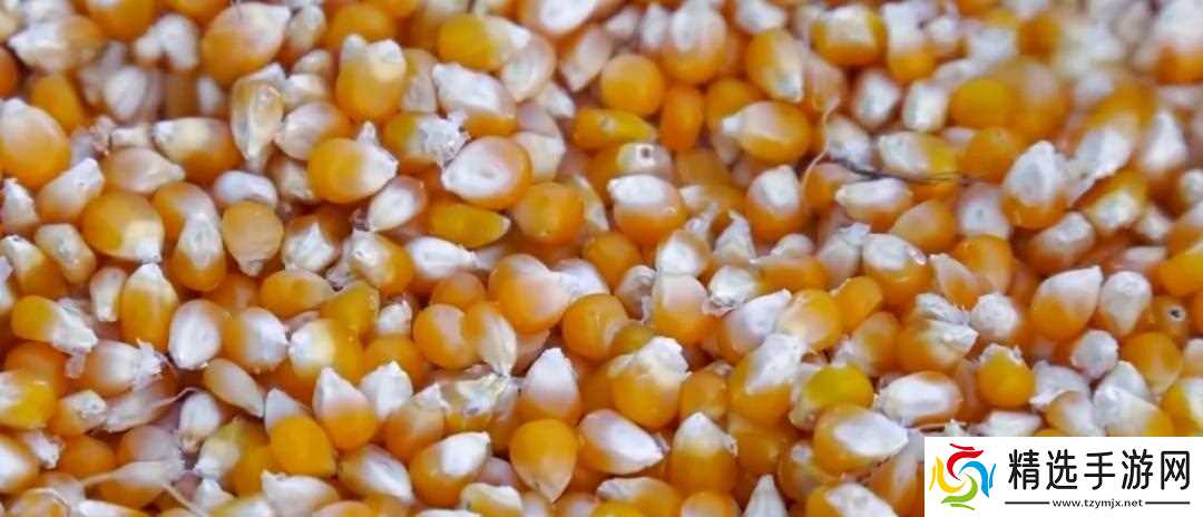 当地仅1人种植!专家下乡偶然发现,山西老汉为哄孩子种了几十年