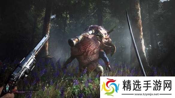 类魂新作《不朽遗志》总监:目前游戏只有一个难度选项