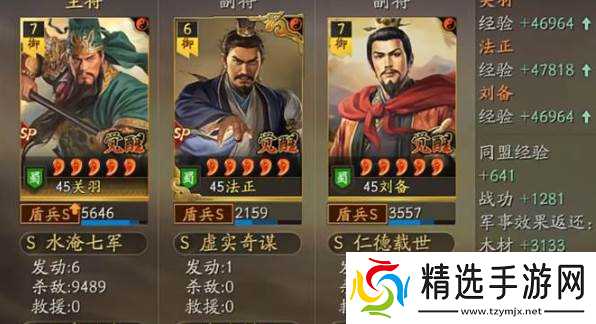 三国志战略版霸王讨逆体系