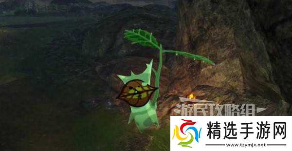 《塞尔达无双封印战记》克洛格位置一览 呀哈哈在哪