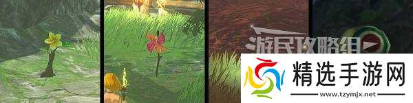 《塞尔达无双封印战记》克洛格位置一览 呀哈哈在哪