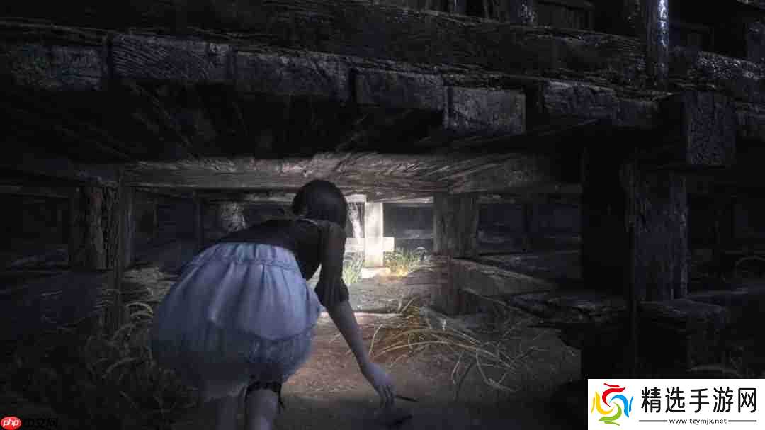 《零红蝶:重制版》新预告 2026年3月12日发售