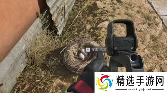 《三角洲行动》大坝鸟窝分布位置