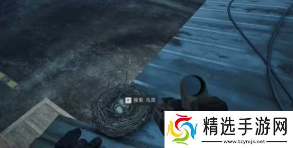 《三角洲行动》大坝鸟窝分布位置