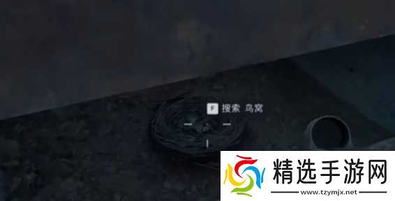 《三角洲行动》大坝鸟窝分布位置