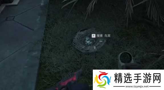 《三角洲行动》大坝鸟窝分布位置