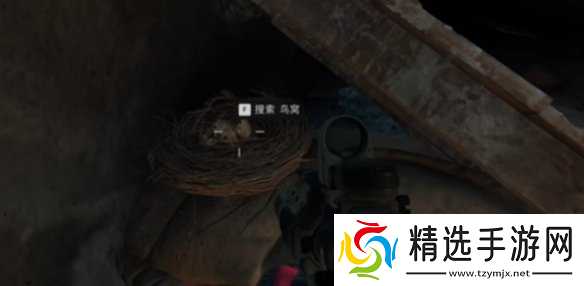 《三角洲行动》大坝鸟窝分布位置