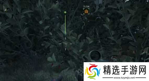 《三角洲行动》大坝鸟窝分布位置