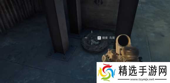 《三角洲行动》大坝鸟窝分布位置