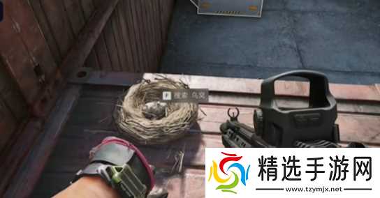 《三角洲行动》大坝鸟窝分布位置