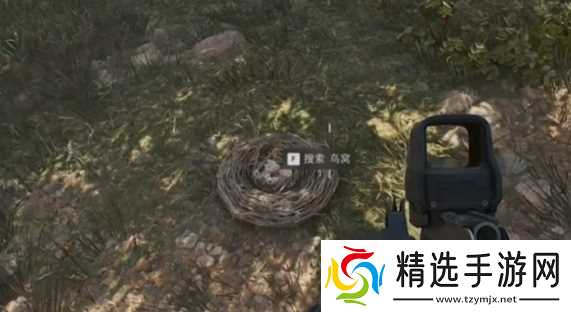 《三角洲行动》大坝鸟窝分布位置