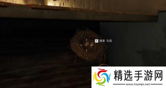 《三角洲行动》大坝鸟窝分布位置