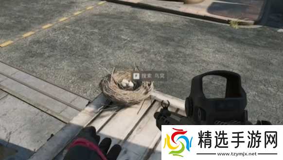 《三角洲行动》大坝鸟窝分布位置