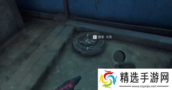 《三角洲行动》大坝鸟窝分布位置