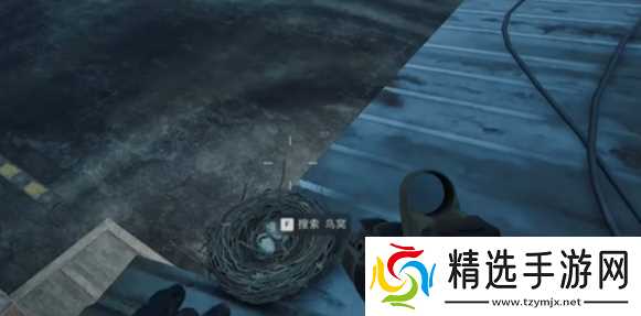 《三角洲行动》大坝鸟窝分布位置