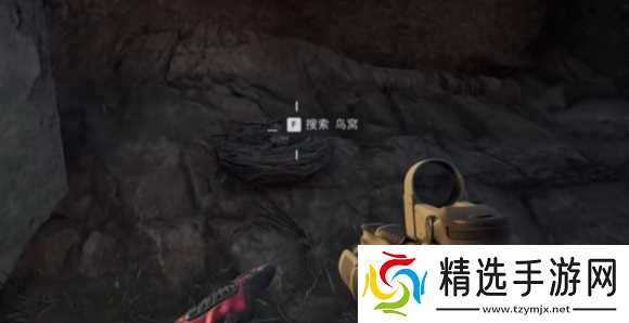 《三角洲行动》大坝鸟窝分布位置