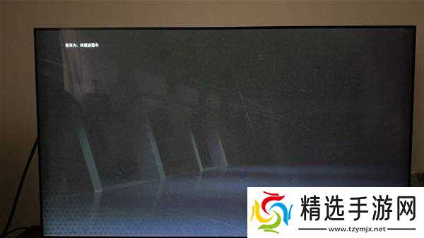 《使命召唤22黑色行动7》登陆游戏黑屏问题解决方法 登陆游戏无界面怎么解决